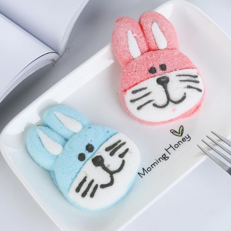 Marshmallow Ve Tvaru Králíka Pro Přítelkyni Jako Dárek K Narozeninám Kreativní Králičí Cukrová Vata Pár Rabbit Candy Floss