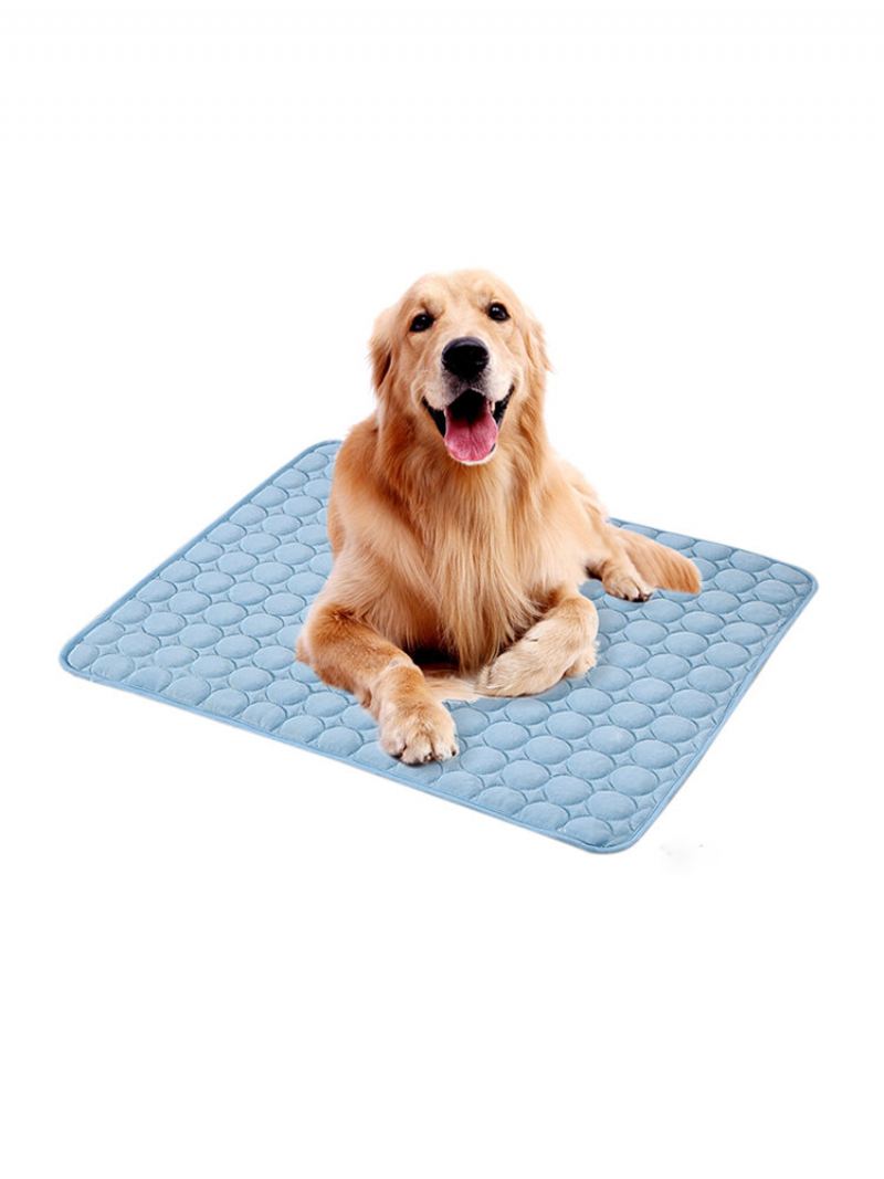 3 Barvy Ledová Hedvábná Podložka Pro Mazlíčky Summer Cooling Mat Psí Kočka Ice Cool Mat Pad