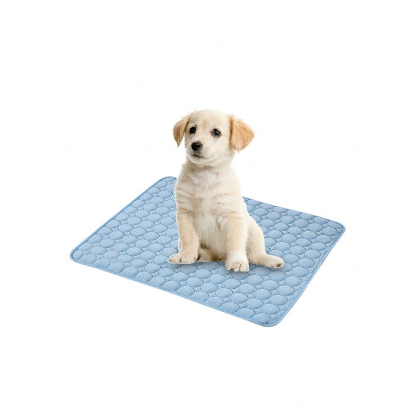 3 Barvy Ledová Hedvábná Podložka Pro Mazlíčky Summer Cooling Mat Psí Kočka Ice Cool Mat Pad