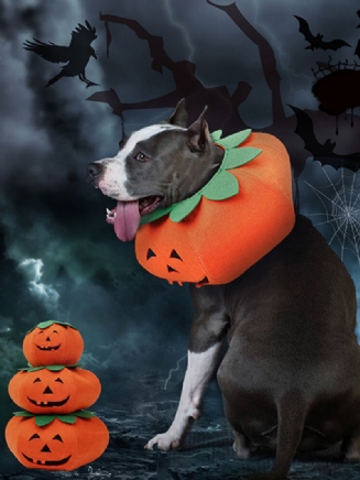 Halloween Dýně Dog Dress Up Multifunkční Psí Obojek Pet Cat Party Transformation Kostým