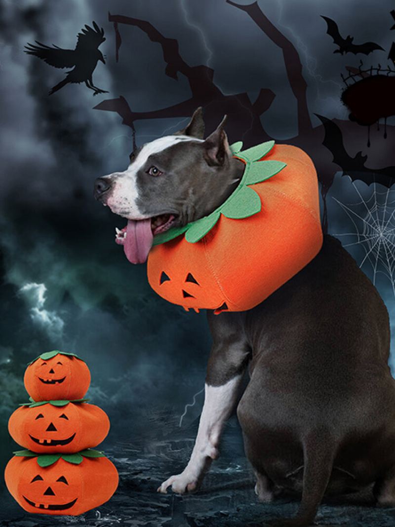 Halloween Dýně Dog Dress Up Multifunkční Psí Obojek Pet Cat Party Transformation Kostým