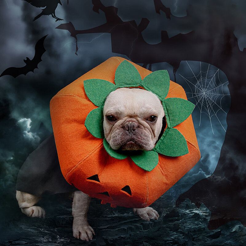 Halloween Dýně Dog Dress Up Multifunkční Psí Obojek Pet Cat Party Transformation Kostým