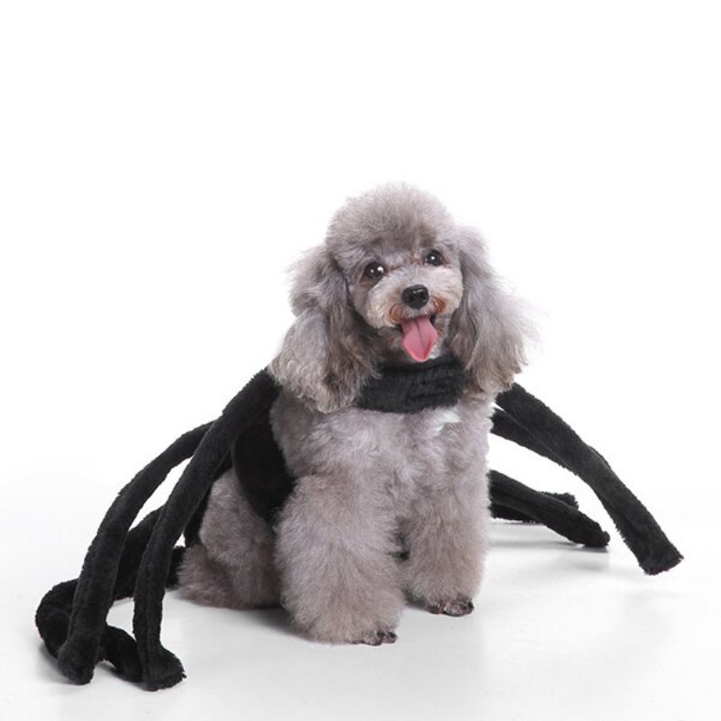 Halloween Pet Oblečení Kostým Kabát Štěně Dog Kočka Funny Jacket Cosplay