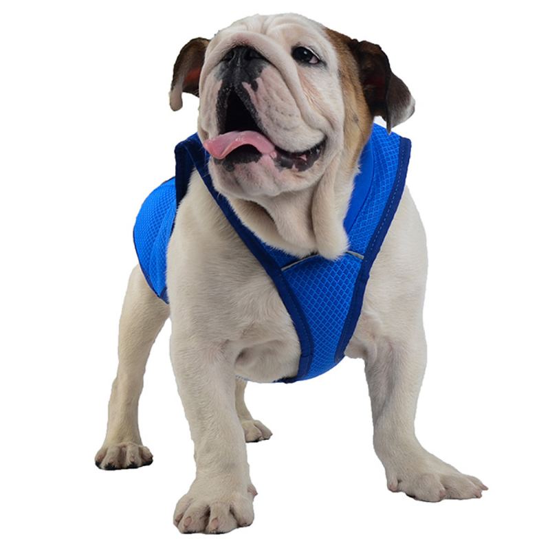 Pet Dog Cool Vesta Prodyšná Pohodlná Opalovací Krém Chladící Oblečení Pet Jacket