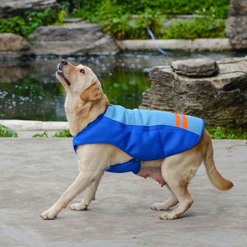 Pet Dog Cool Vesta Prodyšná Pohodlná Opalovací Krém Chladící Oblečení Pet Jacket