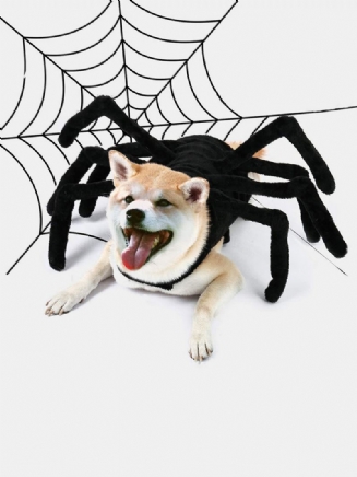 Pet Halloween Funny Spider Hrudník Back Kreativní Kostým Kočka Dog Malý Pes Transformace