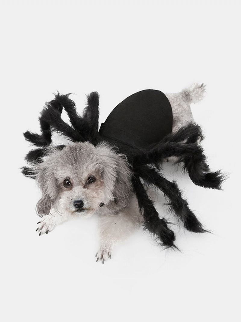 Pet Halloween Funny Spider Oblečení Kočka Dog Hororová Simulace Plyšové Pavoučí Transformační Společenské Šaty