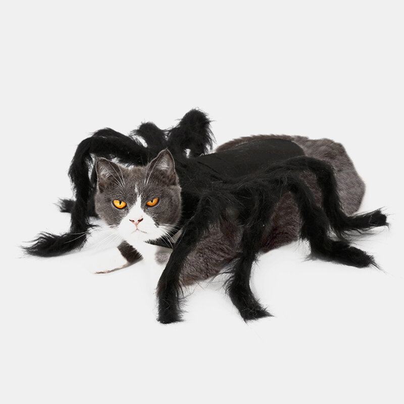 Pet Halloween Funny Spider Oblečení Kočka Dog Hororová Simulace Plyšové Pavoučí Transformační Společenské Šaty