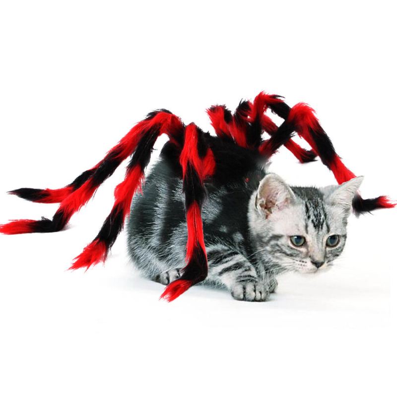 Pet Halloween Spider Hrudník Kreativní Kostým Kočka Psík Malý Pes Transformation Costume