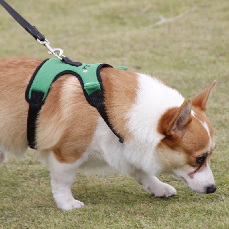 Roztomilá Žába Hrudní Popruh Corgi Fight Trakční Vesta Pro Mazlíčky