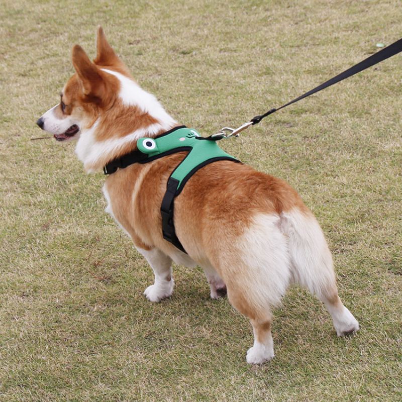 Roztomilá Žába Hrudní Popruh Corgi Fight Trakční Vesta Pro Mazlíčky