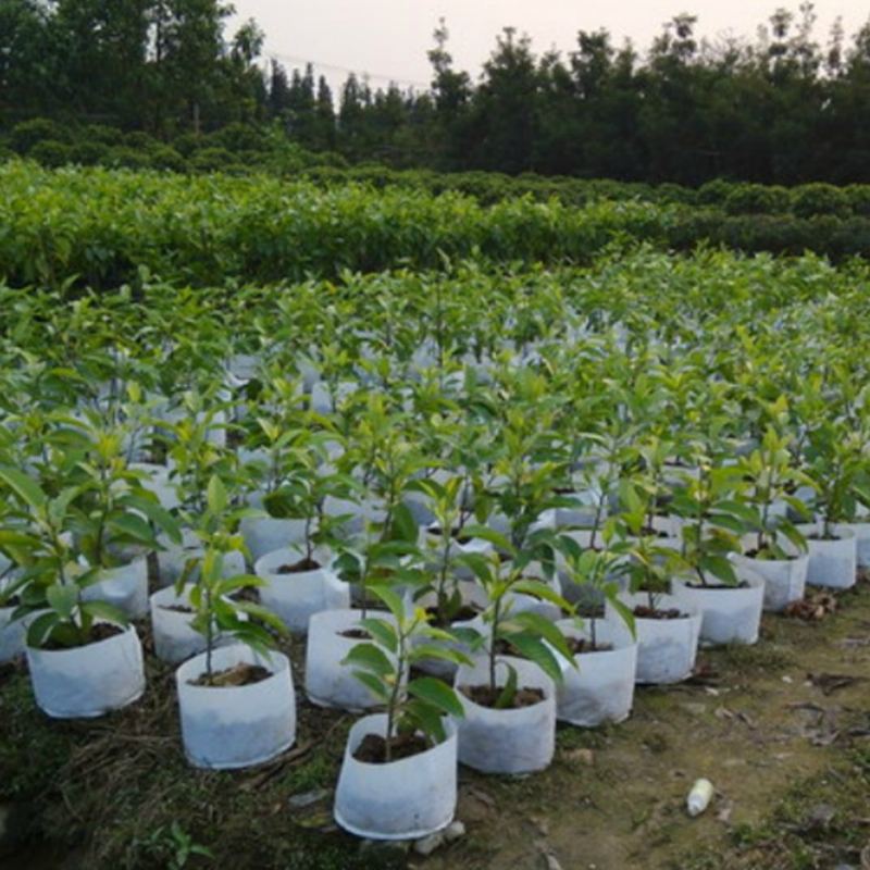 10ks Netkané Kulaté Látkové Květináče Váček Na Rostliny Kořenová Nádoba Grow Bag Provzdušňovací