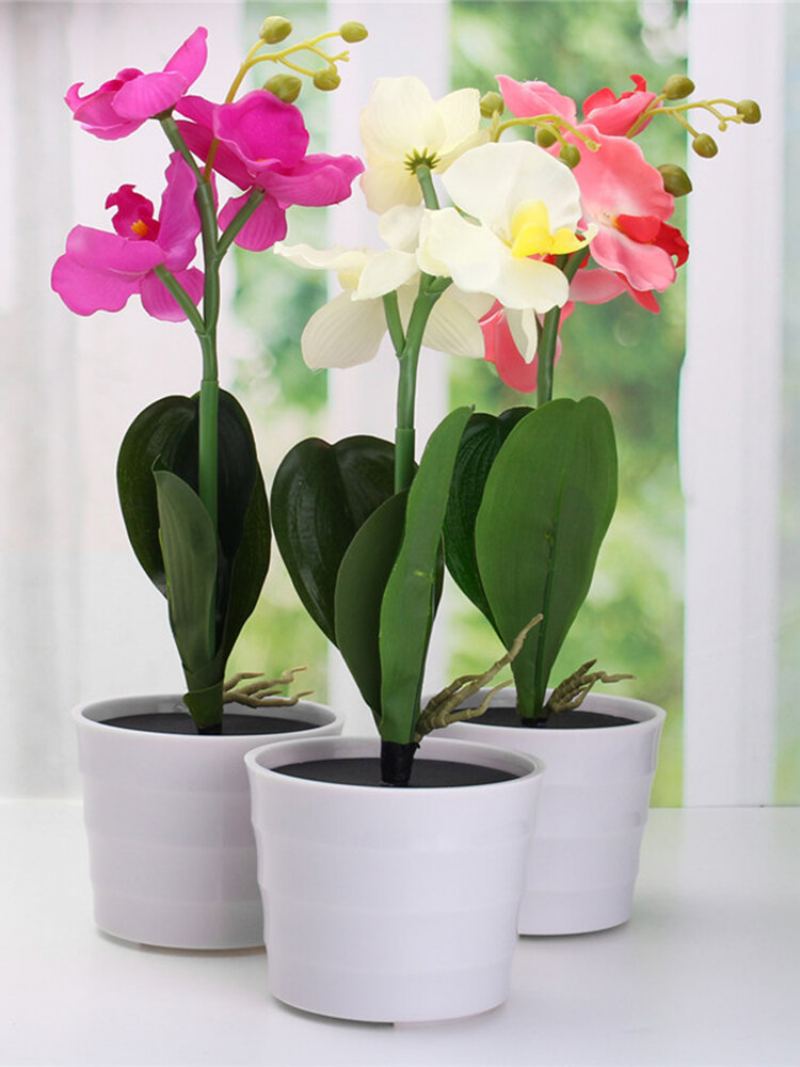 3led Solární Energie Phalaenopsis Květinové Sázky Zahrada Dvůr Světlá Krajina Venkovní Dekorace