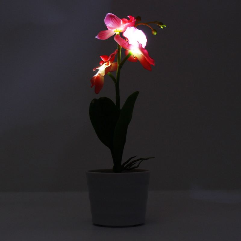 3led Solární Energie Phalaenopsis Květinové Sázky Zahrada Dvůr Světlá Krajina Venkovní Dekorace