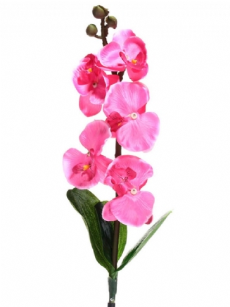 Solární Energie Phalaenopsis Zahradní Kůl Krajinná Lampa Butterfly Orchid Venkovní Osvětlení Dvora