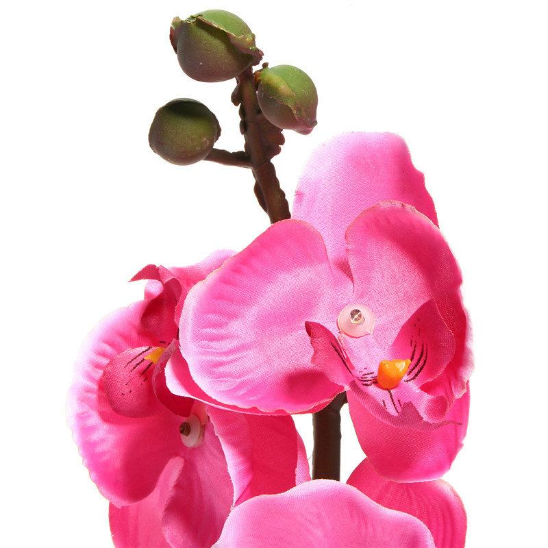 Solární Energie Phalaenopsis Zahradní Kůl Krajinná Lampa Butterfly Orchid Venkovní Osvětlení Dvora