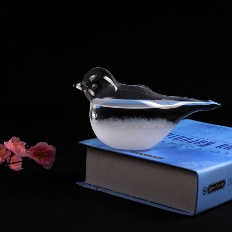 7.5x10 cm Creative Bird Shape Weather Forecast Storm Glass Novel Home Decor