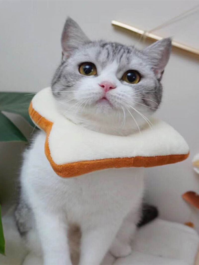 Nastavitelný Elizabeth Collar Cat Toast Bread Pet Anti-smashing Ring Cat Anti-grab Bite