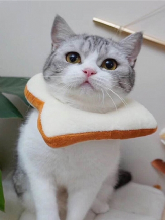 Nastavitelný Elizabeth Collar Cat Toast Bread Pet Anti-smashing Ring Cat Anti-grab Bite