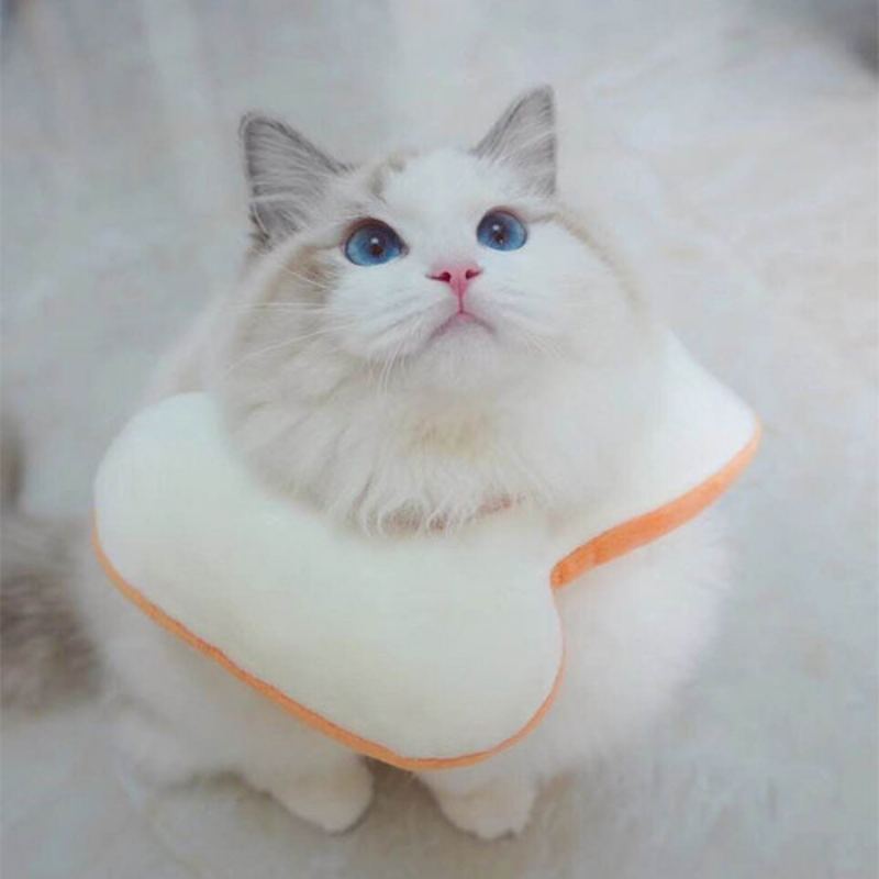 Nastavitelný Elizabeth Collar Cat Toast Bread Pet Anti-smashing Ring Cat Anti-grab Bite