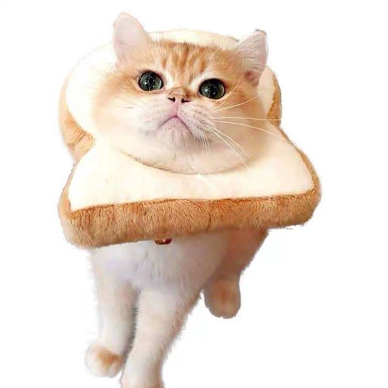 Nastavitelný Elizabeth Collar Cat Toast Bread Pet Anti-smashing Ring Cat Anti-grab Bite