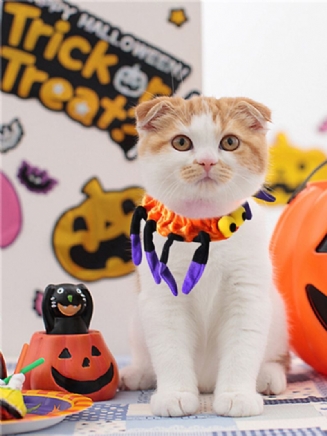 Pet Spider Collar Pes Cat Puppy Kitty Cap Halloween Potřeby Pet Kostým