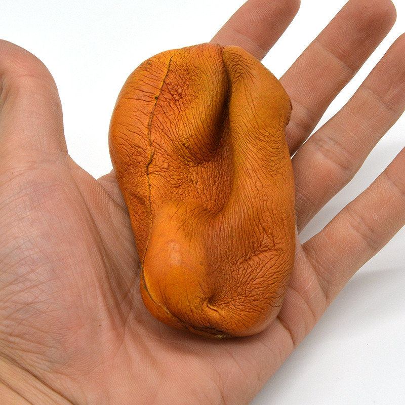 Kiibru Squishy Kiwi Fruit 8.5 cm Měkké Pomalu Rostoucí Originální Balení Kolekce Dárková Dekorační Hračka