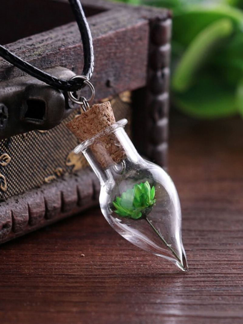 Vintage Diy Sušené Květiny Dámský Náhrdelník Malý Přívěsek Daisy Ve Tvaru Kapky Drift Bottle