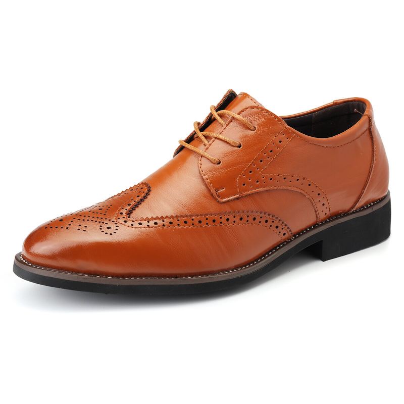 Pánské Společenské Boty Brogue Vyřezávané Špičaté Šněrovací Oxfords